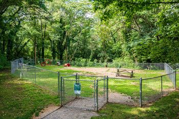 Off-leash dog park